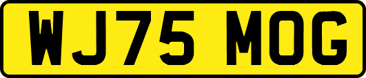 WJ75MOG