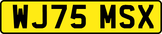 WJ75MSX