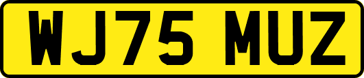 WJ75MUZ