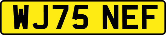 WJ75NEF