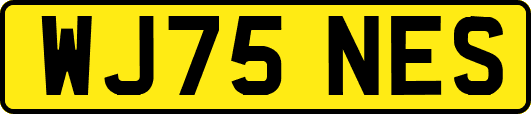 WJ75NES