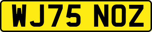 WJ75NOZ