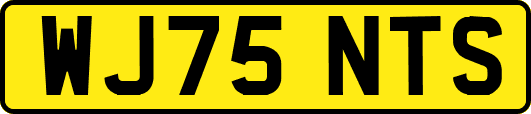 WJ75NTS