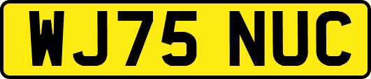 WJ75NUC