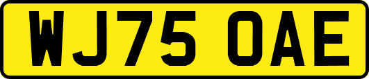 WJ75OAE
