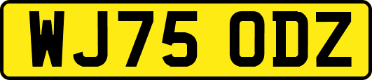 WJ75ODZ