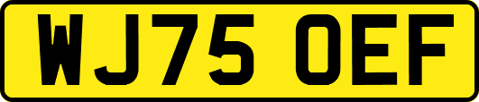 WJ75OEF