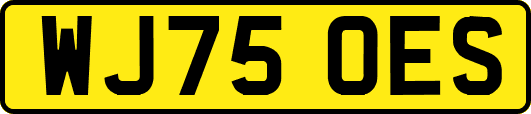 WJ75OES