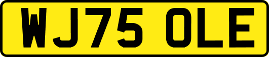 WJ75OLE