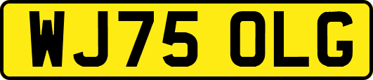 WJ75OLG