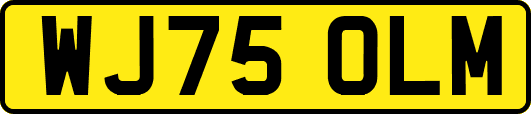 WJ75OLM