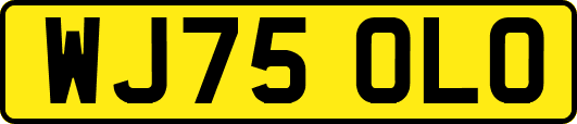 WJ75OLO