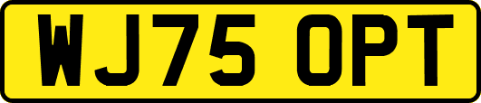 WJ75OPT
