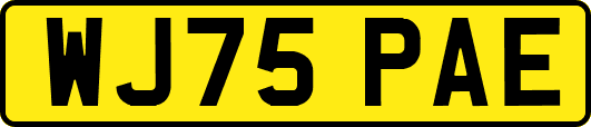 WJ75PAE
