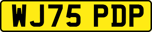 WJ75PDP
