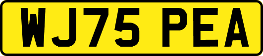 WJ75PEA