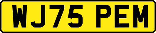 WJ75PEM