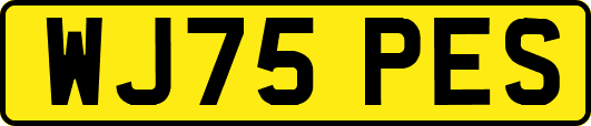 WJ75PES