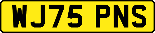WJ75PNS