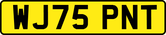 WJ75PNT