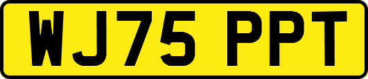WJ75PPT