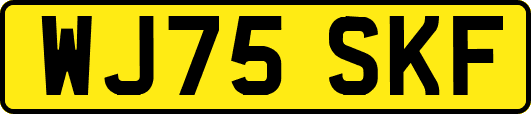 WJ75SKF