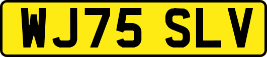 WJ75SLV