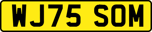 WJ75SOM