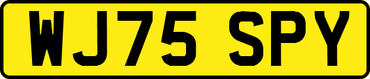 WJ75SPY