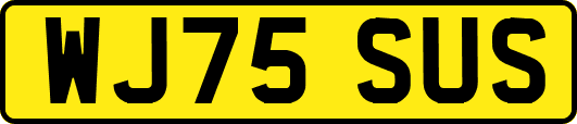 WJ75SUS