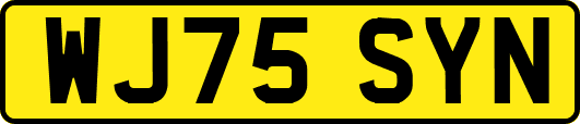 WJ75SYN