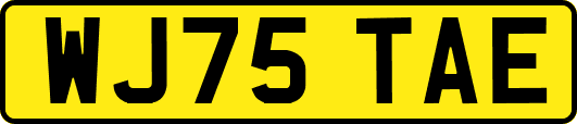 WJ75TAE