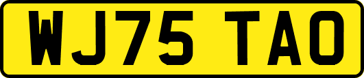 WJ75TAO