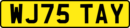 WJ75TAY
