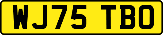 WJ75TBO