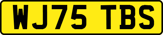 WJ75TBS