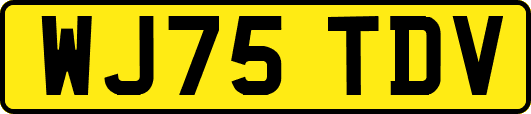 WJ75TDV