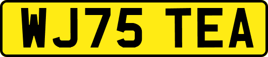 WJ75TEA
