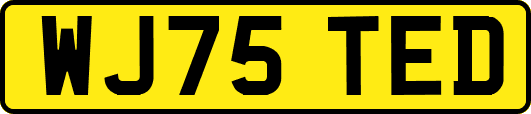WJ75TED