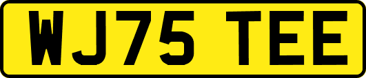 WJ75TEE