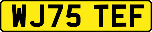 WJ75TEF