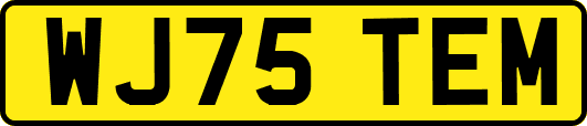 WJ75TEM