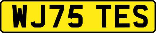 WJ75TES