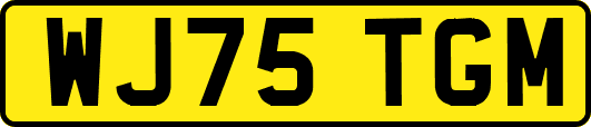 WJ75TGM