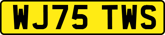 WJ75TWS