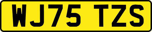 WJ75TZS