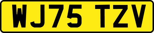 WJ75TZV