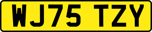 WJ75TZY