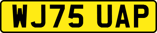 WJ75UAP