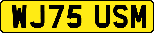 WJ75USM